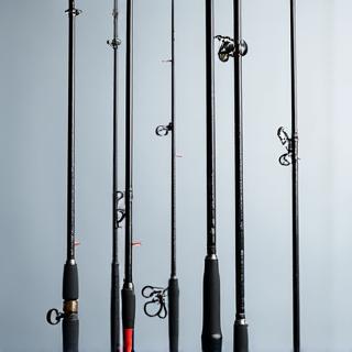 Group of diverse fishing rods, including spinning, casting, and fly rods, standing upright.