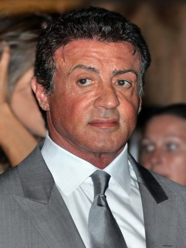 Book excerpt The Steps by Sylvester Stallone.
